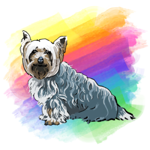 ruth park illustration yorkshire terrier